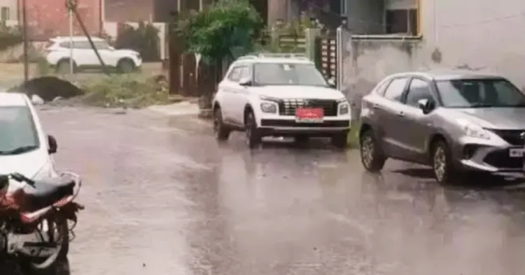 MP Weather