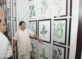 म्यूजियम