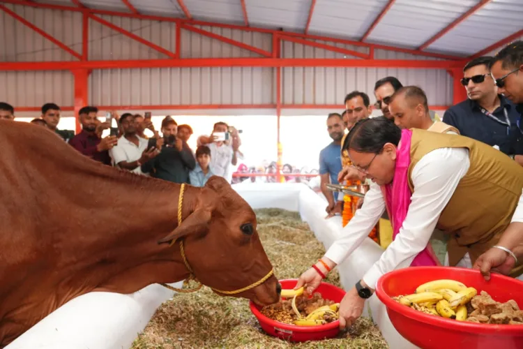 khatima haldighera gaushala inauguration cm dhami