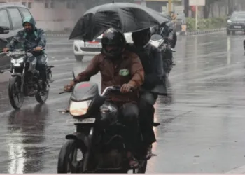 MP Weather