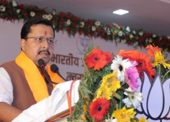नितिन नवीन, भाजपा के राष्ट्रीय अध्यक्ष