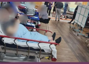 UK NHS Hospital Overcrowding Emergency Deaths Study Report Panchjanya