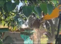 Illegal Mazars Demolished in Uttarakhand